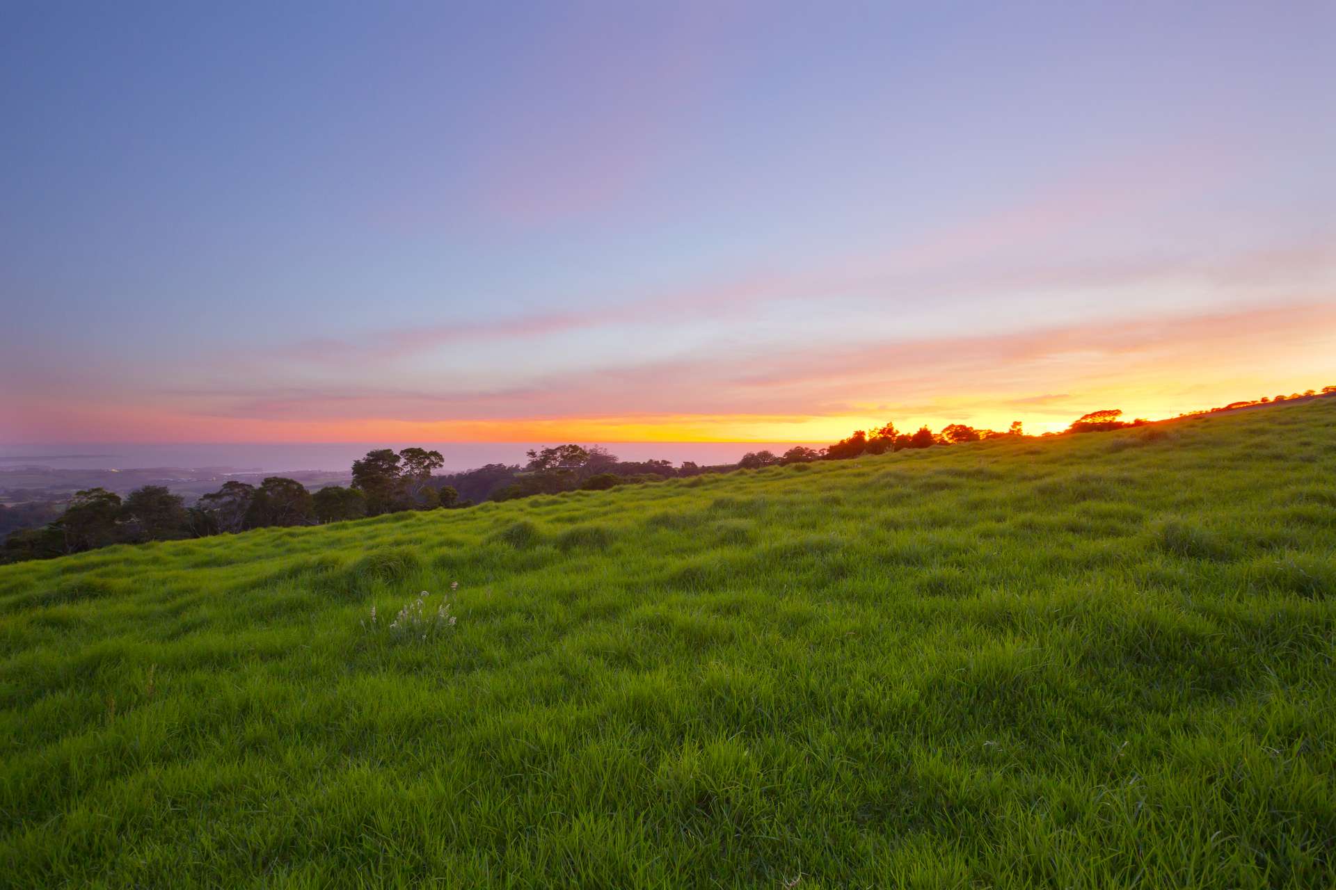 'DJAWULA' Lot 2022 Wilsons Road, Saddleback Mountain For Sale by Farmbuy.com - image 8