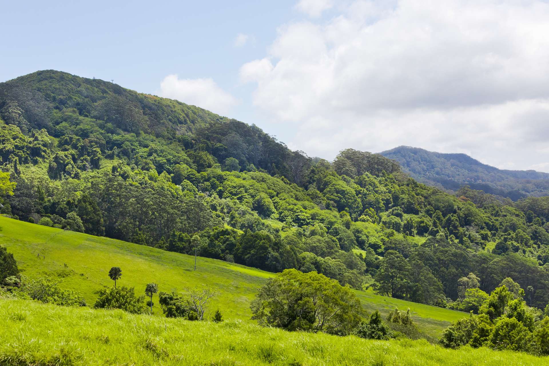 'DJAWULA' Lot 2022 Wilsons Road, Saddleback Mountain For Sale by Farmbuy.com - image 15