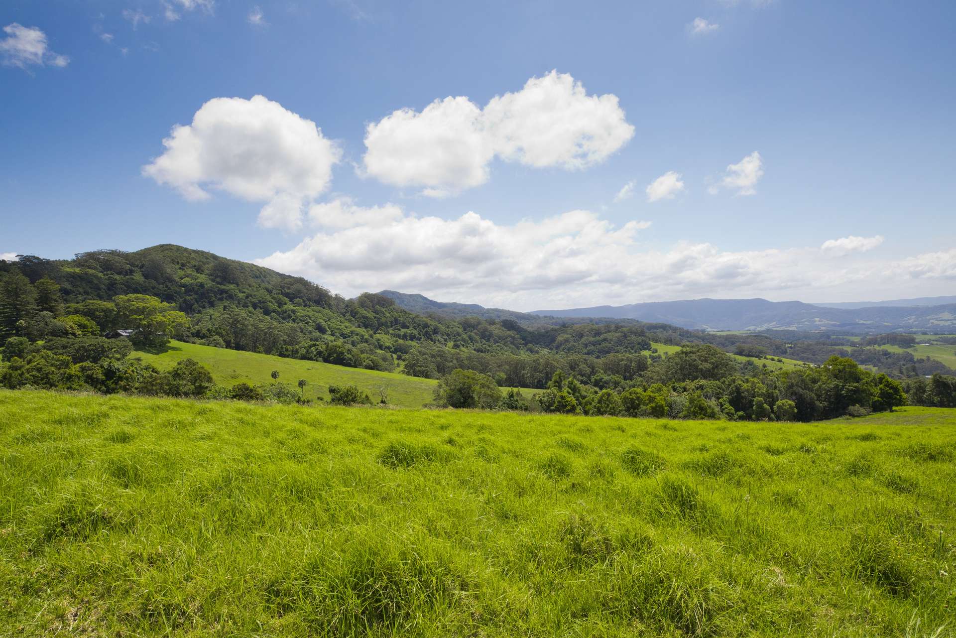 'DJAWULA' Lot 2022 Wilsons Road, Saddleback Mountain For Sale by Farmbuy.com - image 17