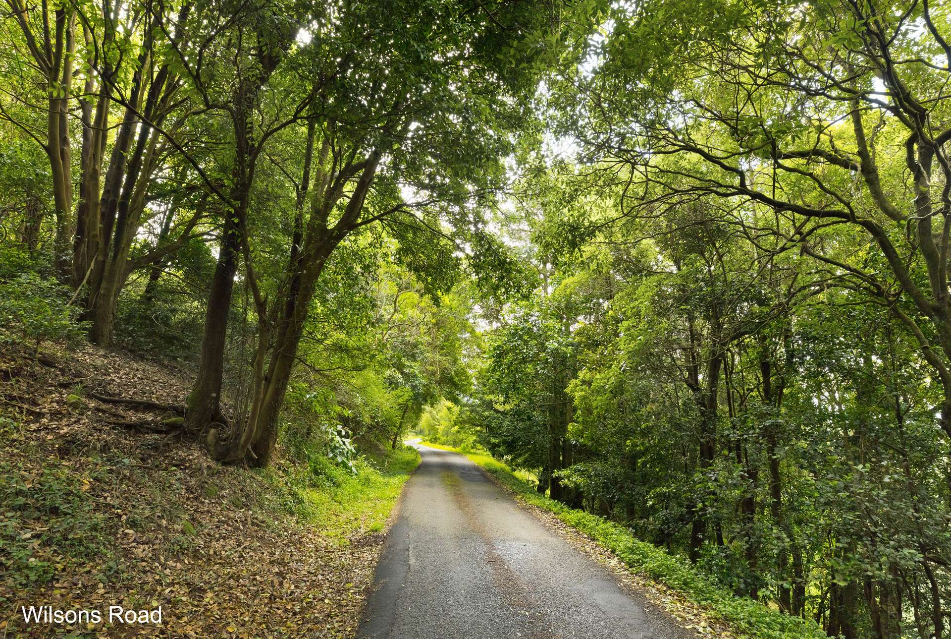 'DJAWULA' Lot 2022 Wilsons Road, Saddleback Mountain For Sale by Farmbuy.com - image 11