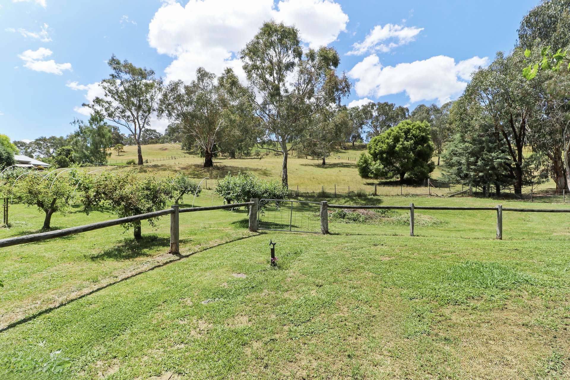 65 Mt Battery Road, Mansfield For Sale by Farmbuy.com - image 12