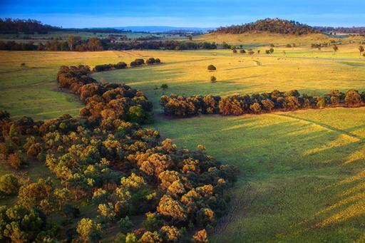 Farm Sold - QLD - Guluguba - 4418 - 
