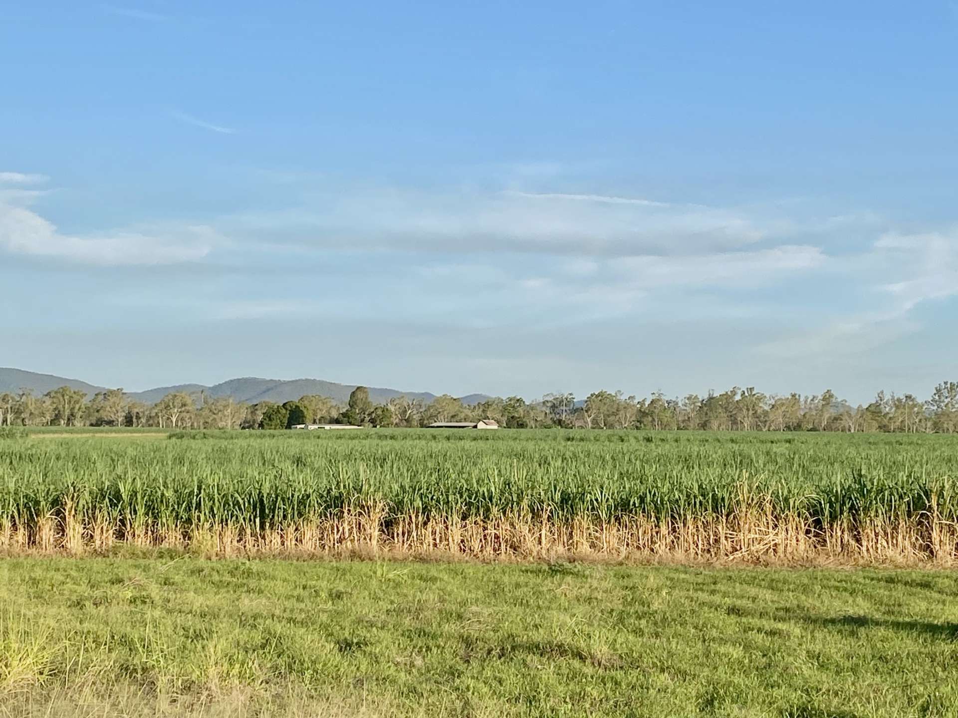 5806 Ayr Dalbeg  Road, Millaroo For Sale by Farmbuy.com - image 12
