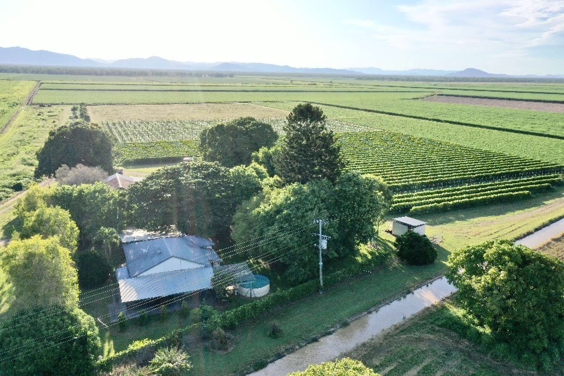 5806 Ayr Dalbeg  Road, Millaroo For Sale by Farmbuy.com - image 3