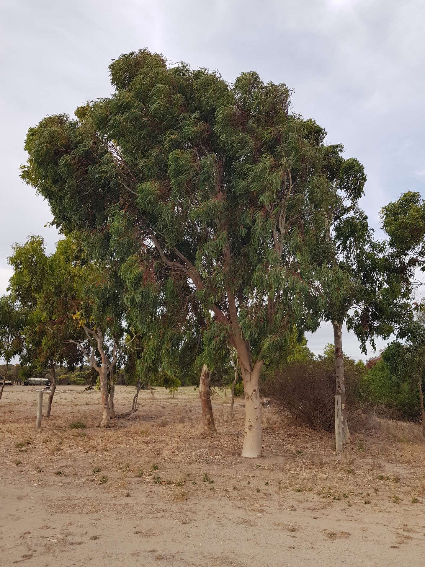 17445 Yorke Hwy, Marion Bay For Sale by Farmbuy.com - image 32