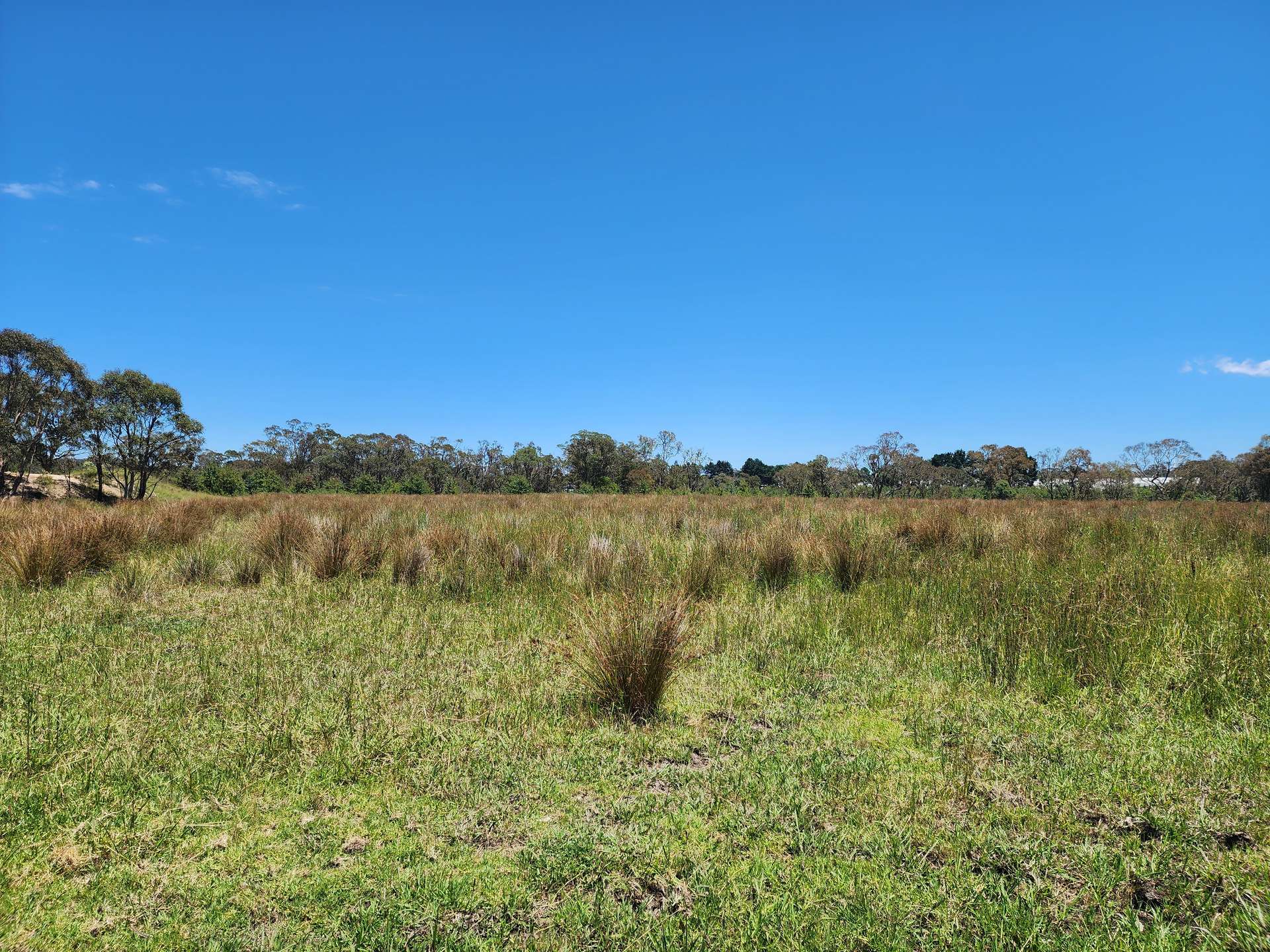 29 Bardini Lane, Fleurbaix Sold by Farmbuy.com - image 27