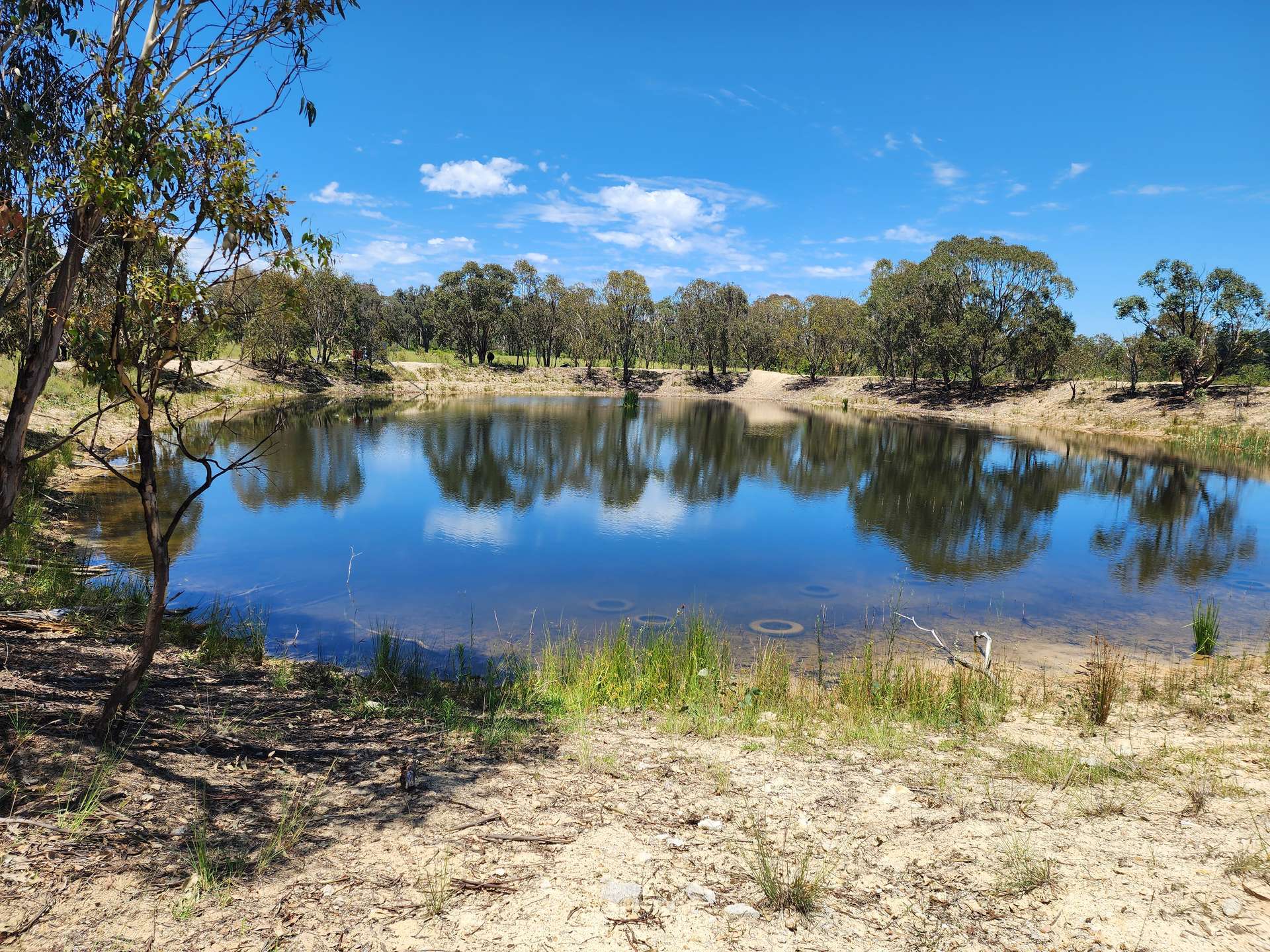 29 Bardini Lane, Fleurbaix Sold by Farmbuy.com - image 14