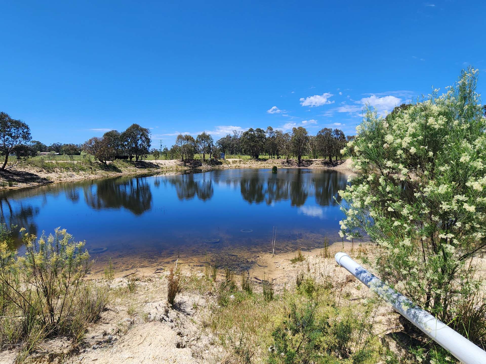 29 Bardini Lane, Fleurbaix Sold by Farmbuy.com - image 15
