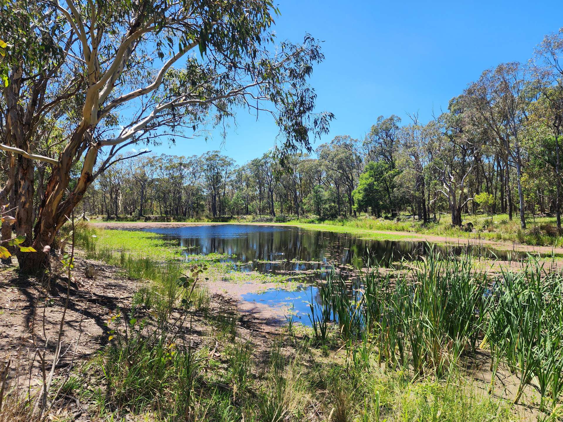 29 Bardini Lane, Fleurbaix For Sale by Farmbuy.com - image 1