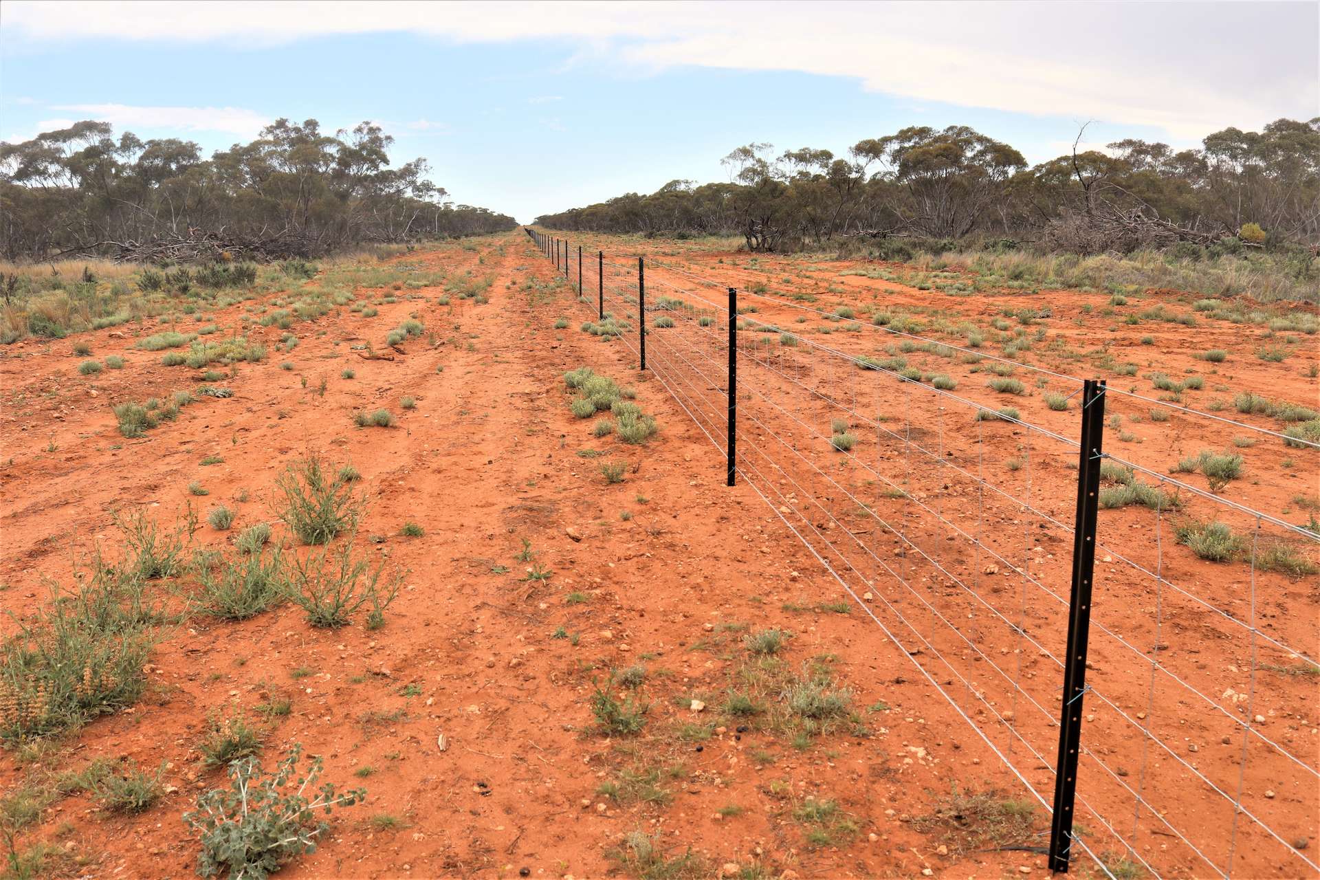 'Mundonah' 2301 Arumpo Road, Mallee Sold by Farmbuy.com - image 26