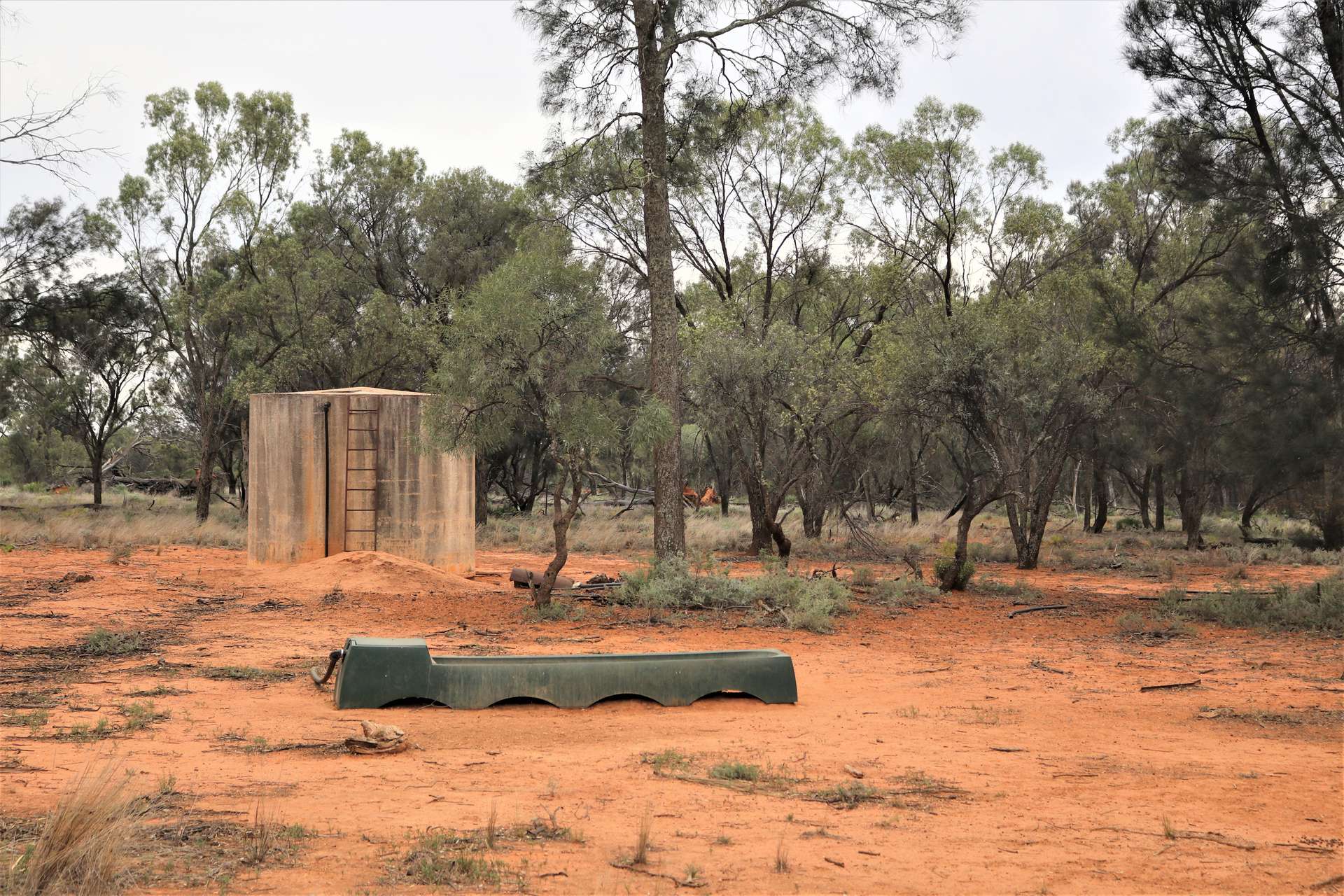 'Mundonah' 2301 Arumpo Road, Mallee Sold by Farmbuy.com - image 9