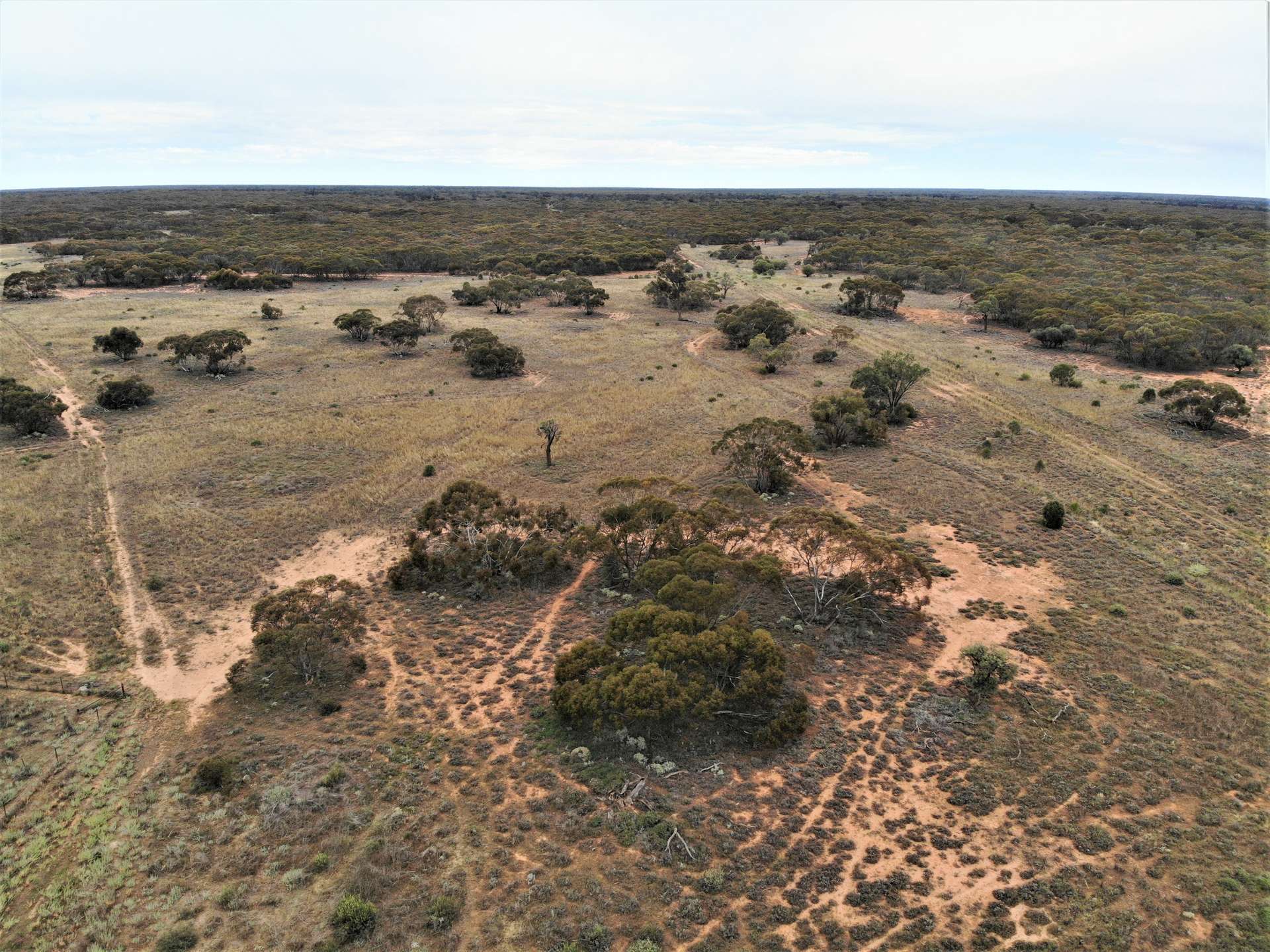 'Mundonah' 2301 Arumpo Road, Mallee Sold by Farmbuy.com - image 6