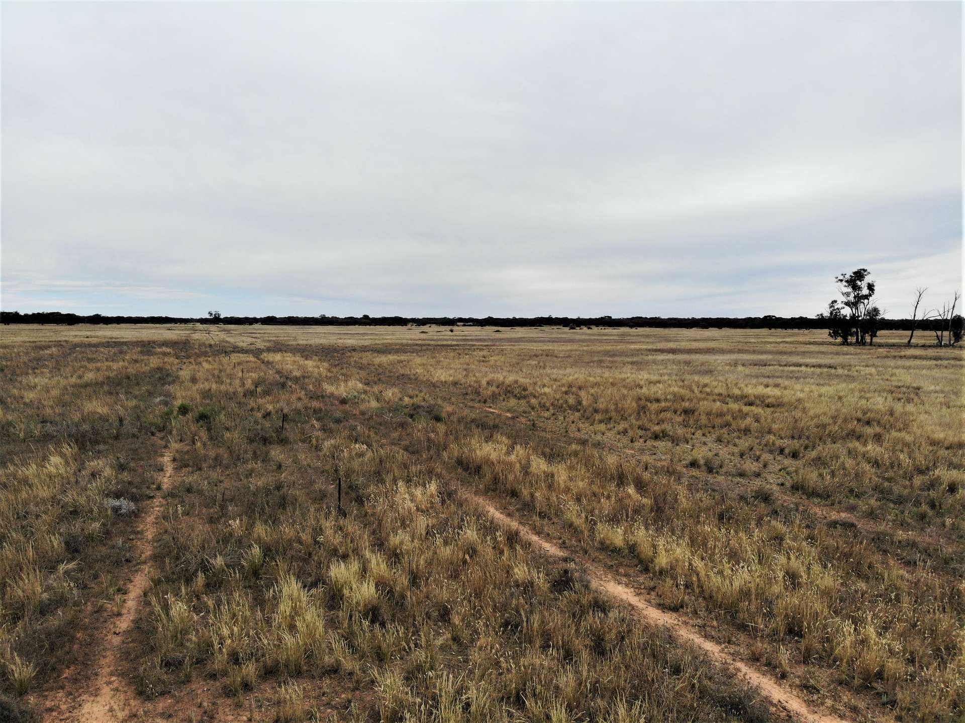 'Mundonah' 2301 Arumpo Road, Mallee Sold by Farmbuy.com - image 5