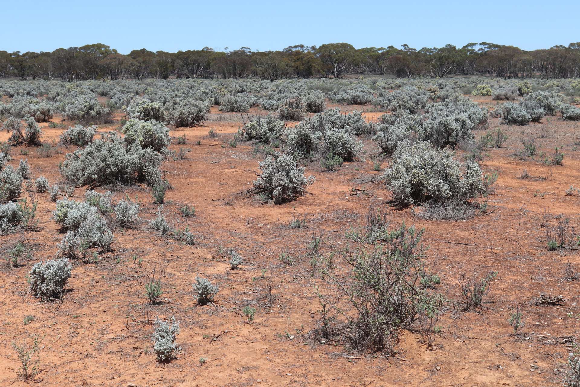 'Mundonah' 2301 Arumpo Road, Mallee Sold by Farmbuy.com - image 23