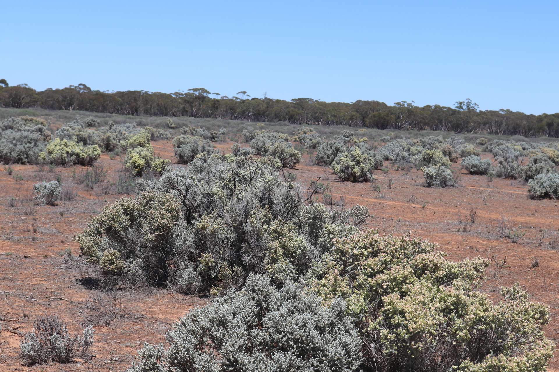 'Mundonah' 2301 Arumpo Road, Mallee Sold by Farmbuy.com - image 24