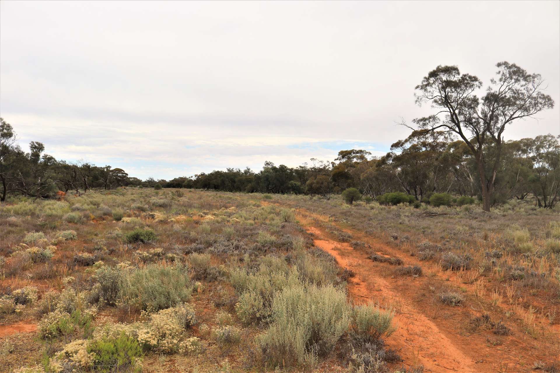 'Mundonah' 2301 Arumpo Road, Mallee Sold by Farmbuy.com - image 18