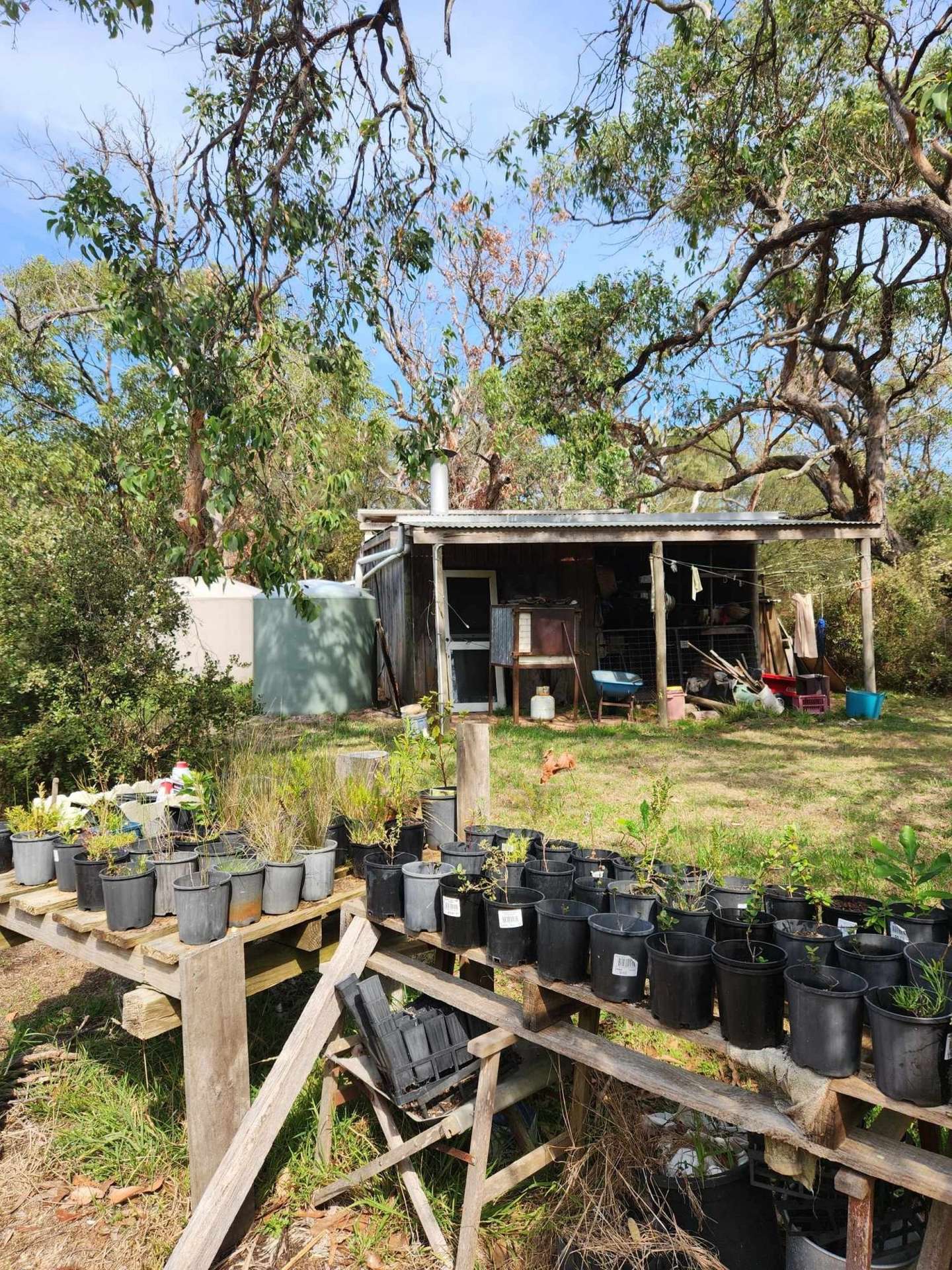417 McBurnie And Boags Road, Tarwin Lower For Sale by Farmbuy.com - image 25