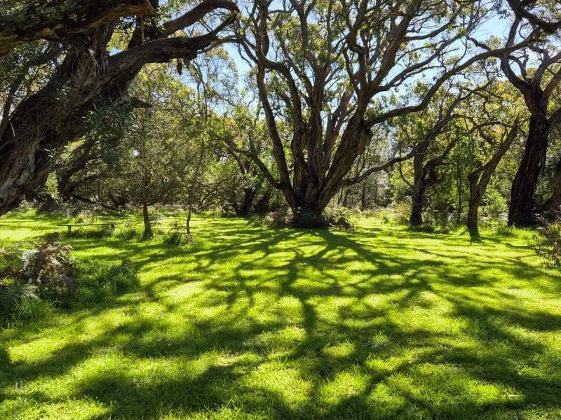 417 McBurnie And Boags Road, Tarwin Lower For Sale by Farmbuy.com - image 23
