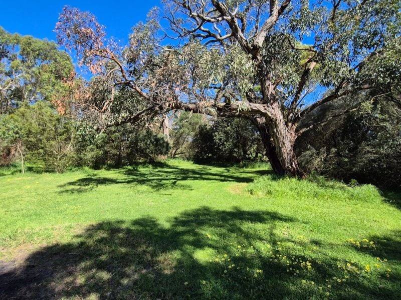 417 McBurnie And Boags Road, Tarwin Lower For Sale by Farmbuy.com - image 20