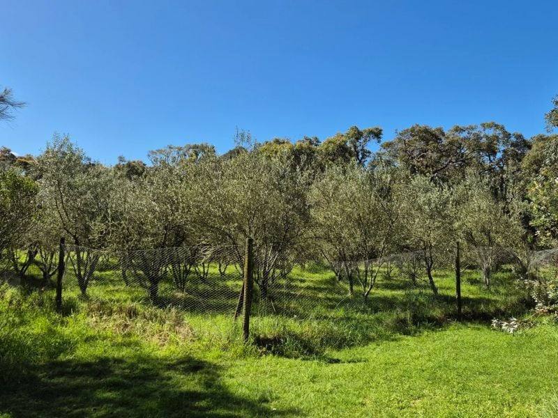 417 McBurnie And Boags Road, Tarwin Lower For Sale by Farmbuy.com - image 19