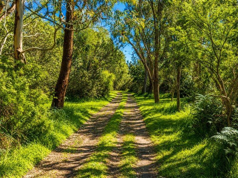 417 McBurnie And Boags Road, Tarwin Lower For Sale by Farmbuy.com - image 3