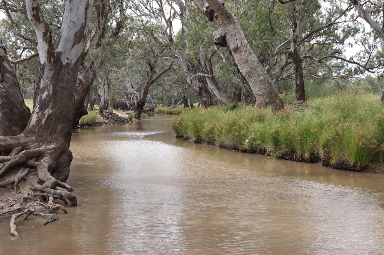 72 Boorr Hill Road, Parkes For Sale by Farmbuy.com - image 6