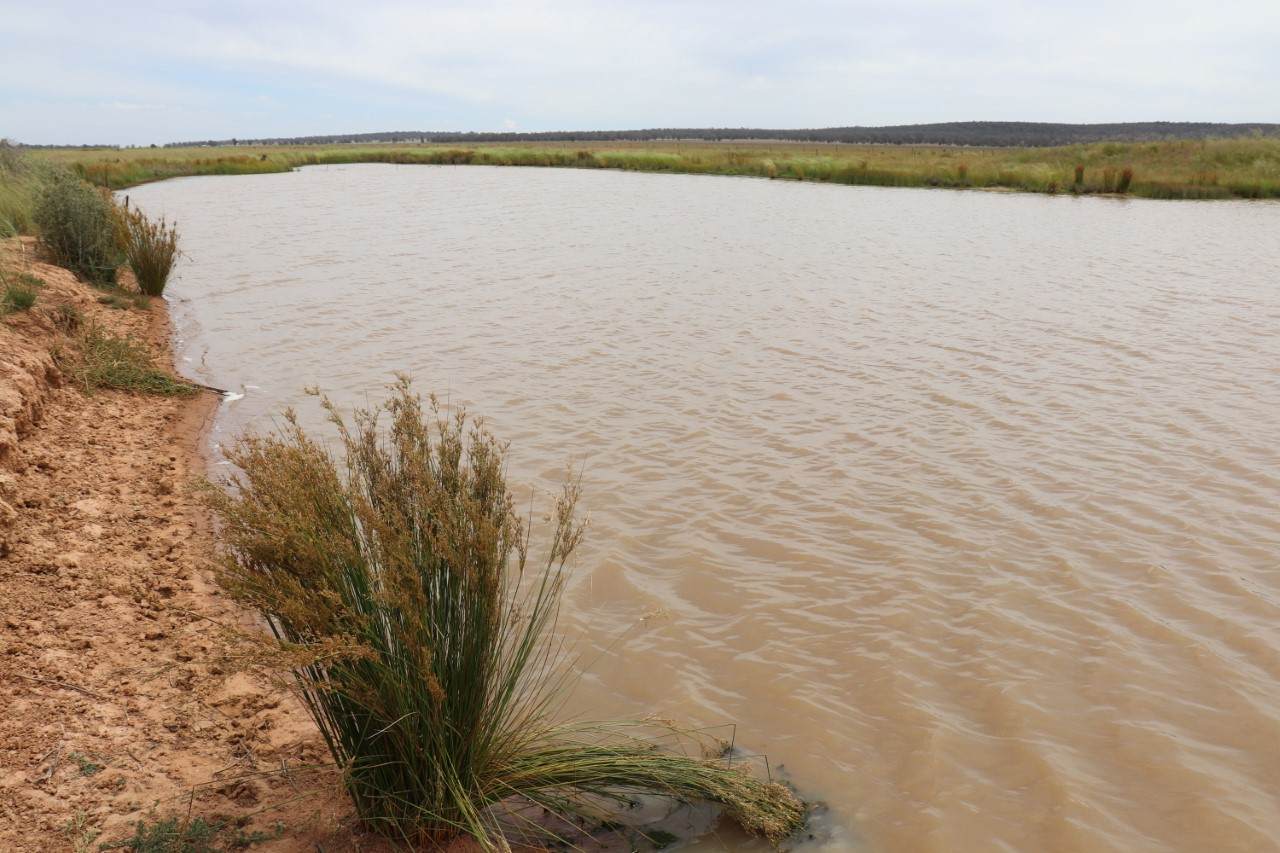 72 Boorr Hill Road, Parkes For Sale by Farmbuy.com - image 30