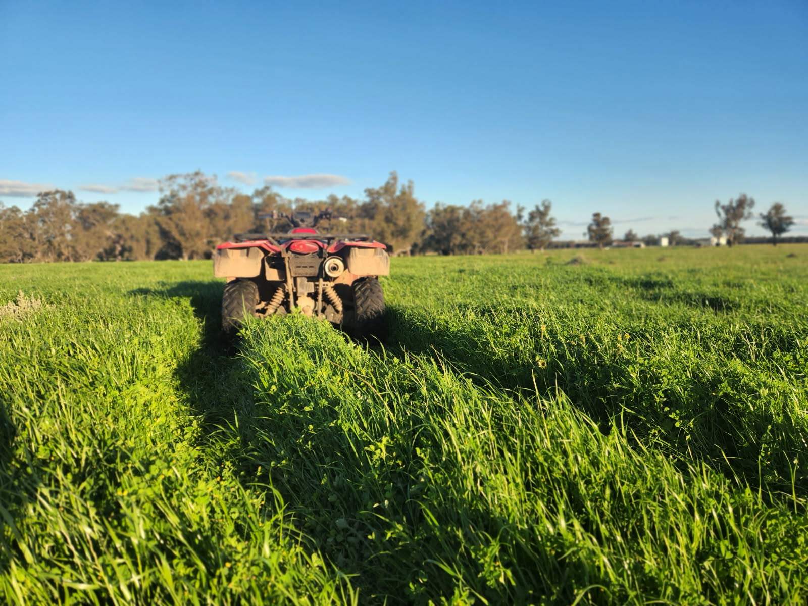 72 Boorr Hill Road, Parkes For Sale by Farmbuy.com - image 2