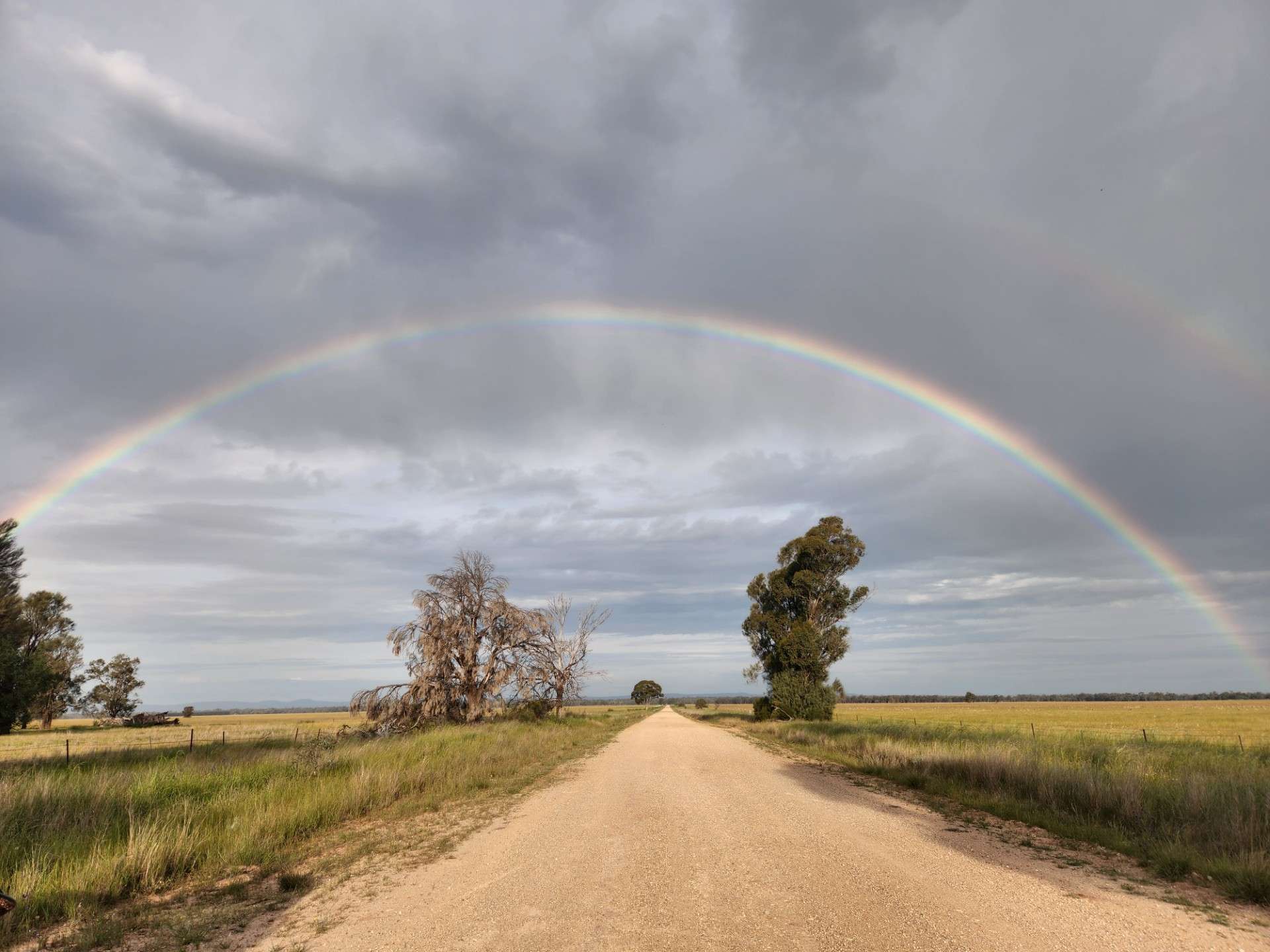 72 Boorr Hill Road, Parkes For Sale by Farmbuy.com - image 12