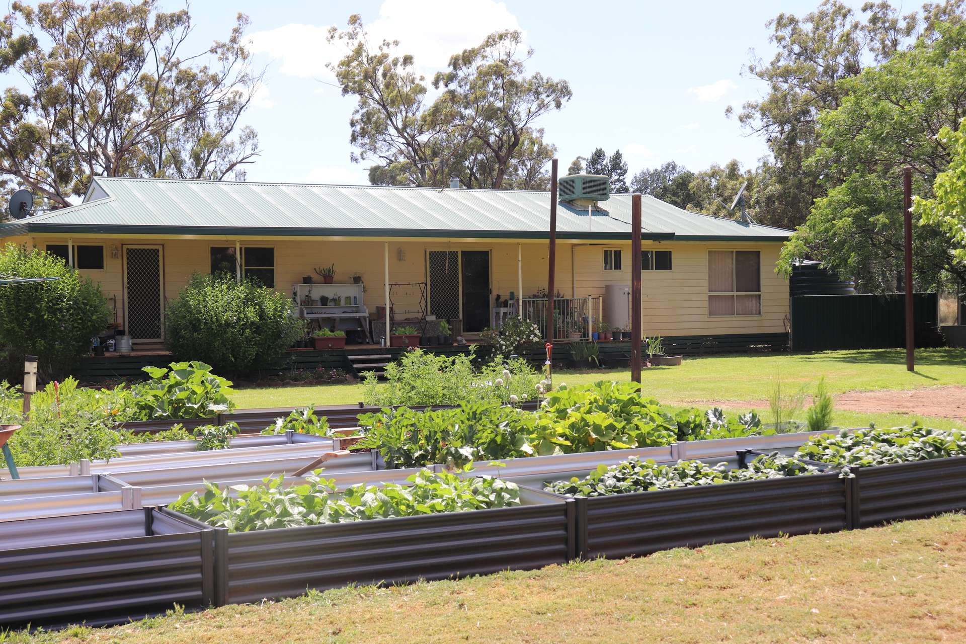 72 Boorr Hill Road, Parkes For Sale by Farmbuy.com - image 15