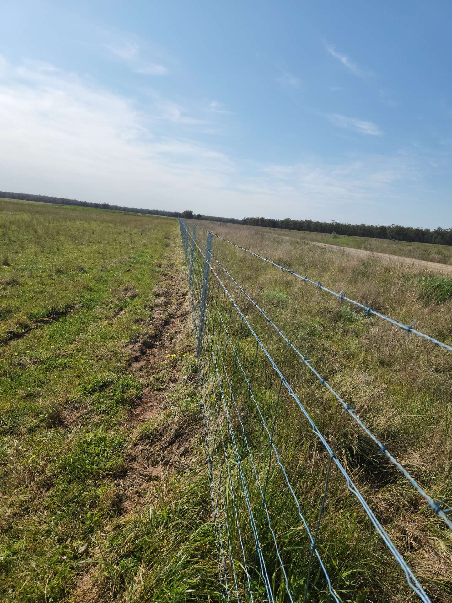 72 Boorr Hill Road, Parkes For Sale by Farmbuy.com - image 21