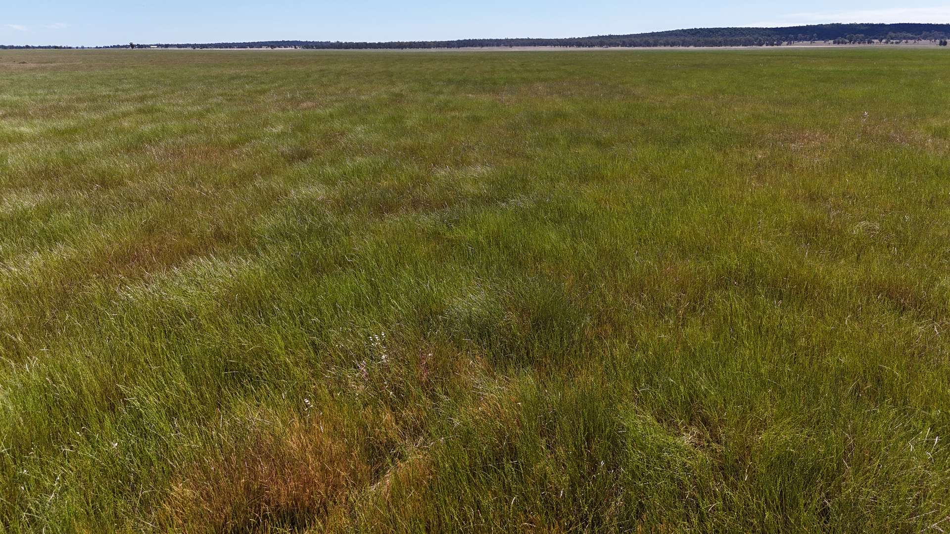 72 Boorr Hill Road, Parkes For Sale by Farmbuy.com - image 9