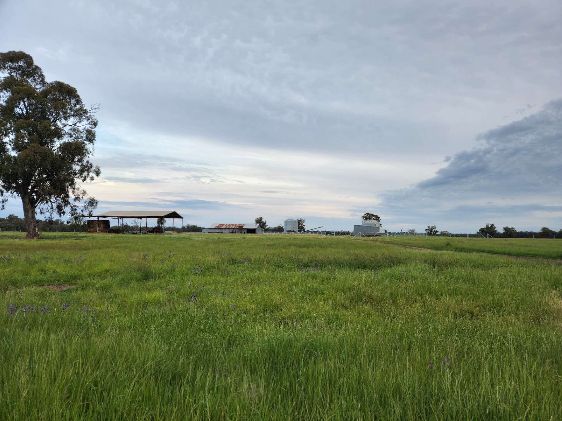 72 Boorr Hill Road, Parkes For Sale by Farmbuy.com - image 10
