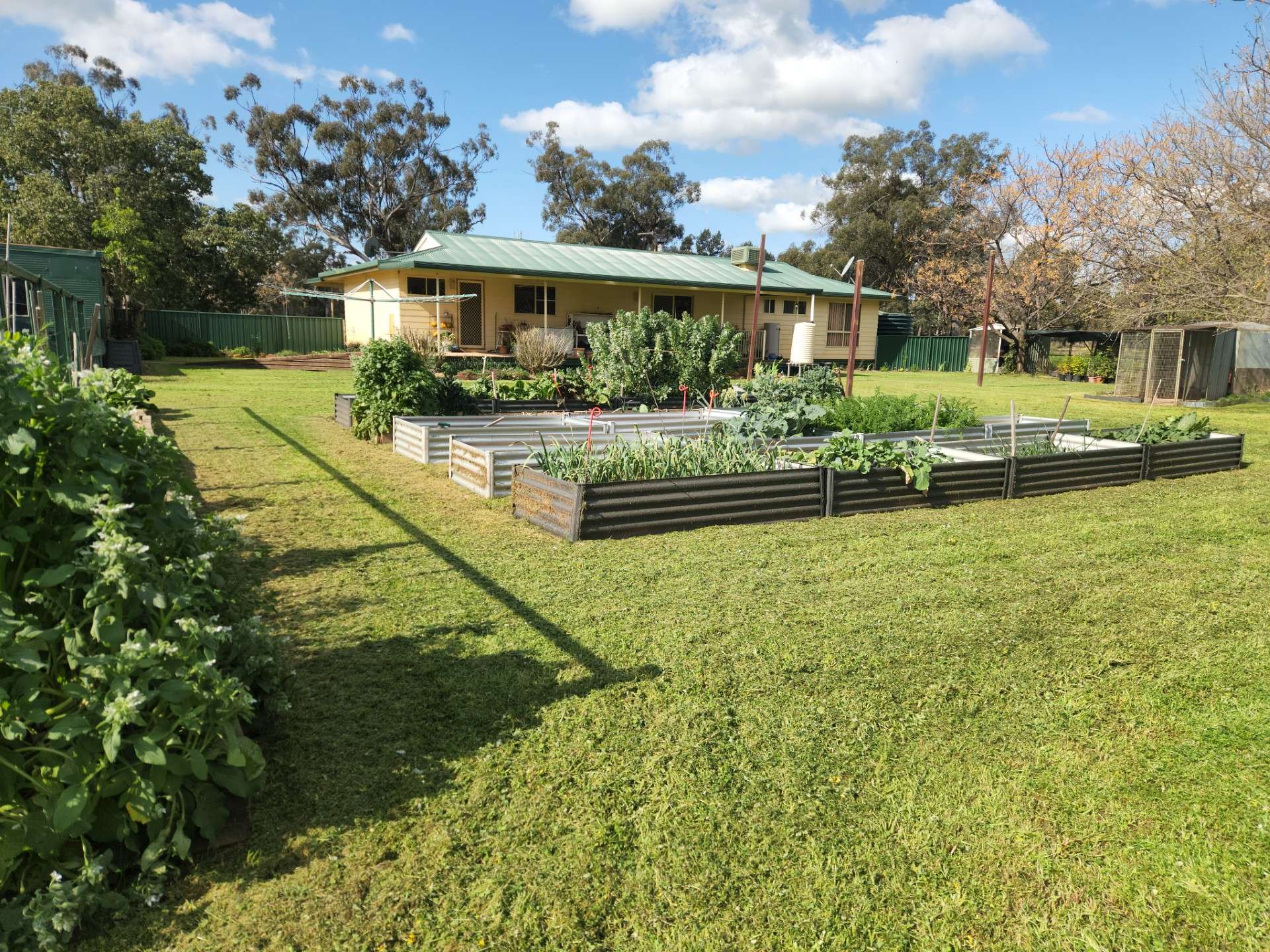 72 Boorr Hill Road, Parkes For Sale by Farmbuy.com - image 13