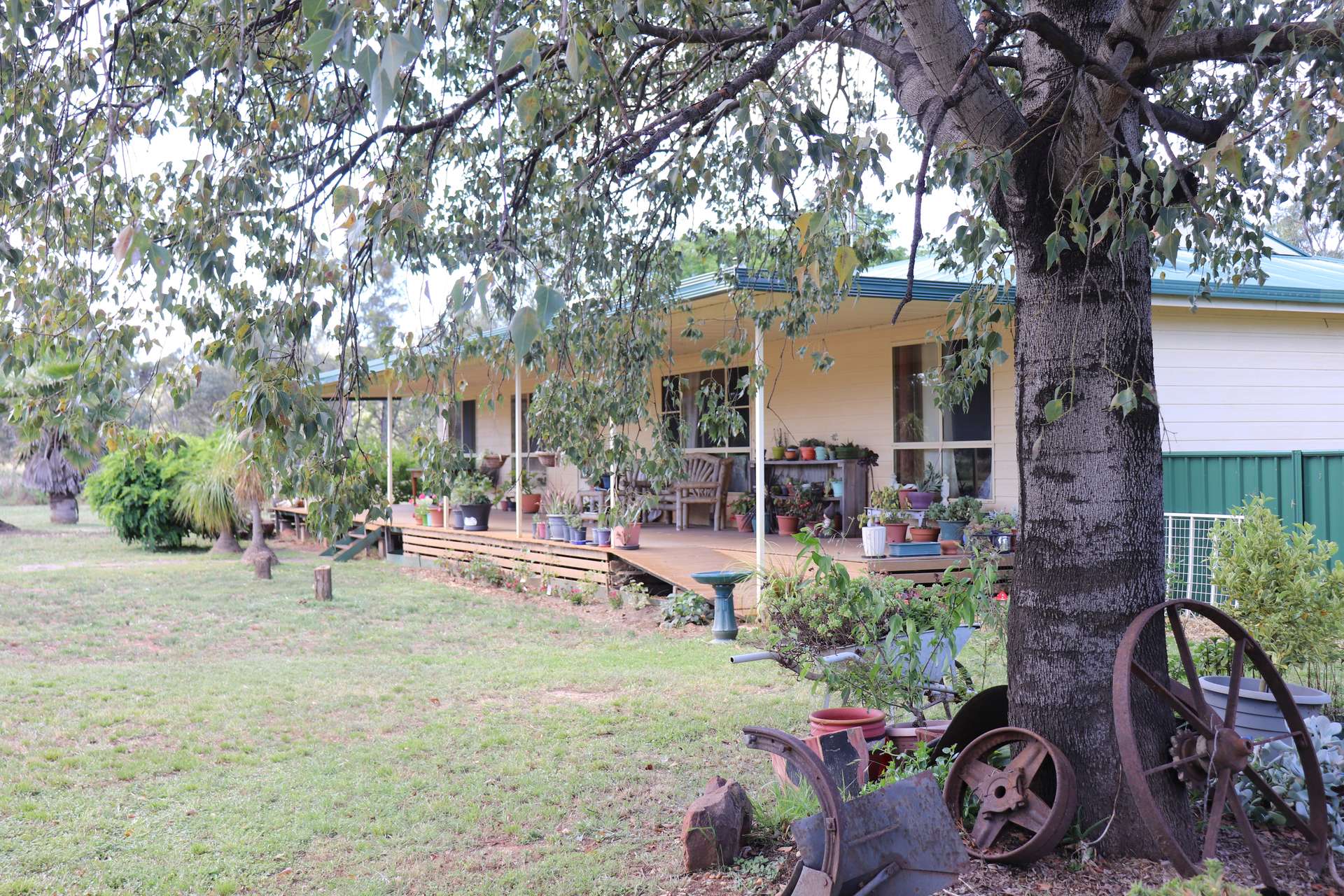 72 Boorr Hill Road, Parkes For Sale by Farmbuy.com - image 14