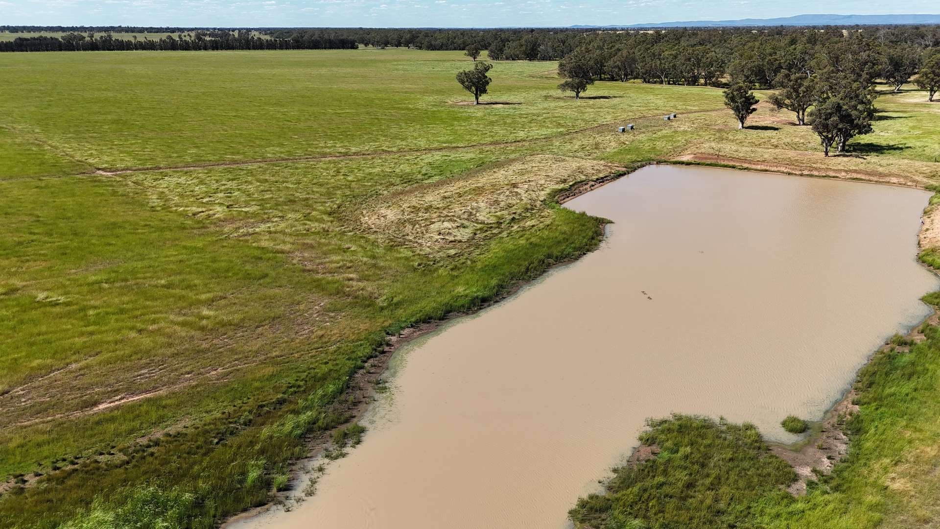 72 Boorr Hill Road, Parkes For Sale by Farmbuy.com - image 5