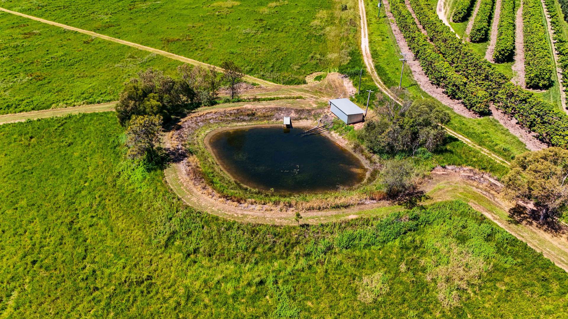 119 McLeod Road, Mutchilba For Sale by Farmbuy.com - image 12