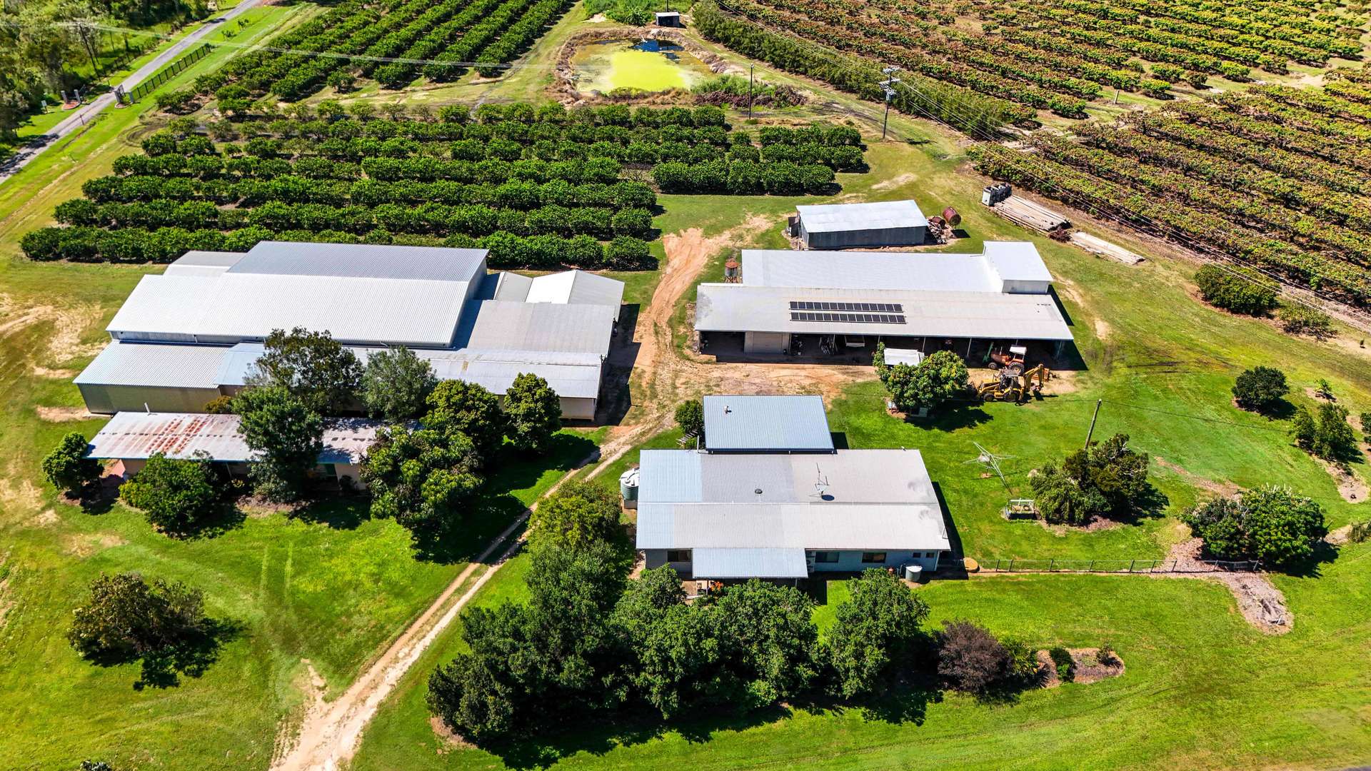 119 McLeod Road, Mutchilba For Sale by Farmbuy.com - image 7