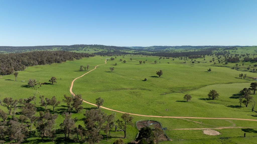 2531 Niangala Road, Walcha NSW 2354