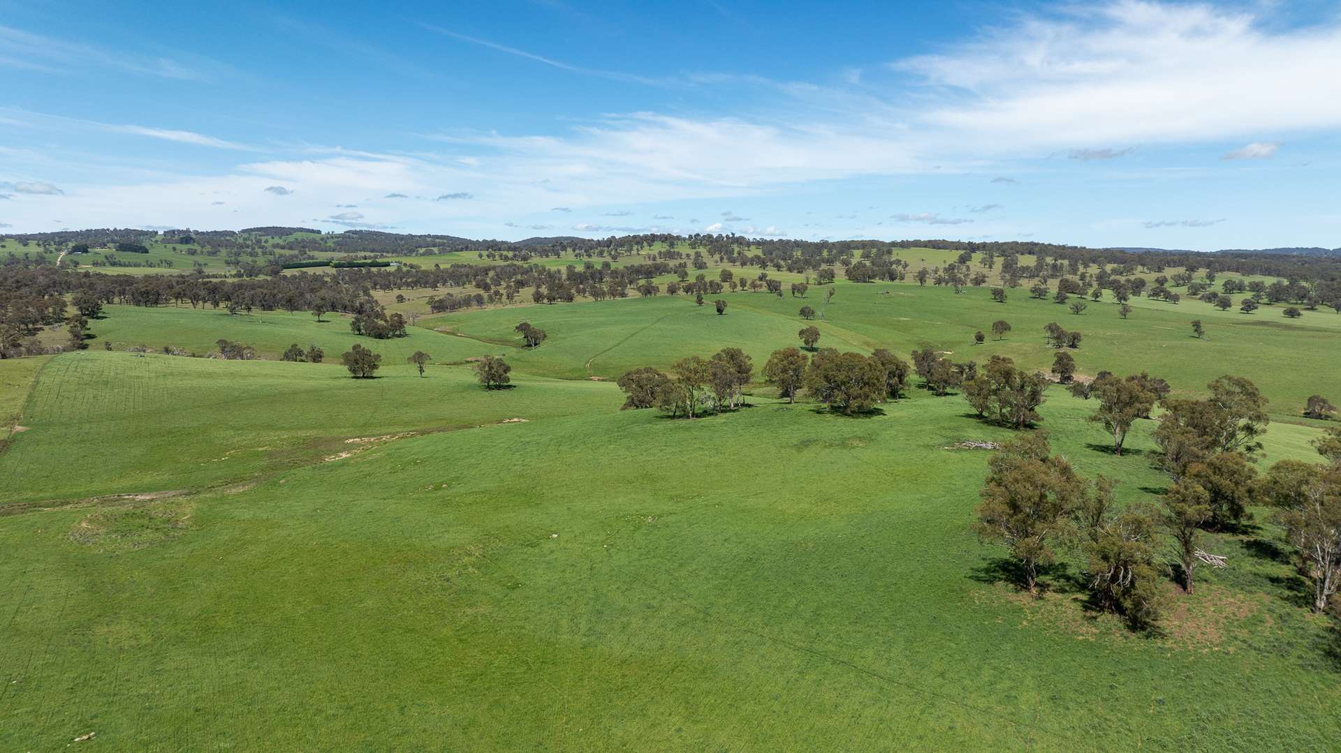 2531 Niangala Road, Walcha Sold by Farmbuy.com - image 15