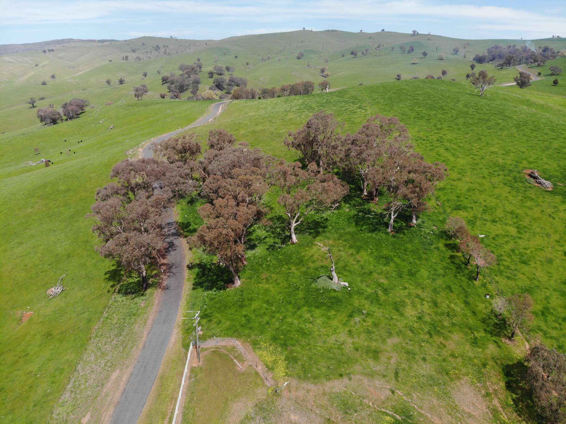 210 Sharps Creek Road, Adelong For Sale by Farmbuy.com - image 29