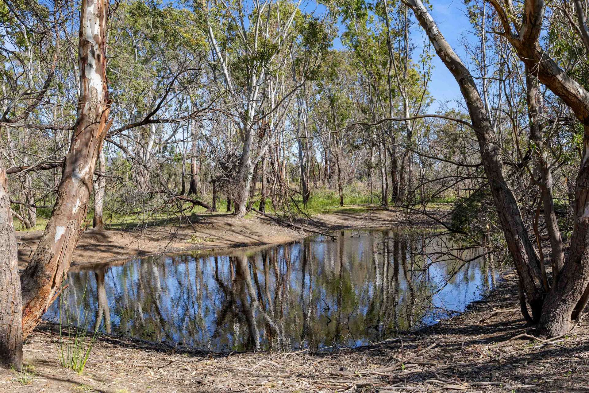 Lot 2 Waterhole Road, Pomonal For Sale by Farmbuy.com - image 12