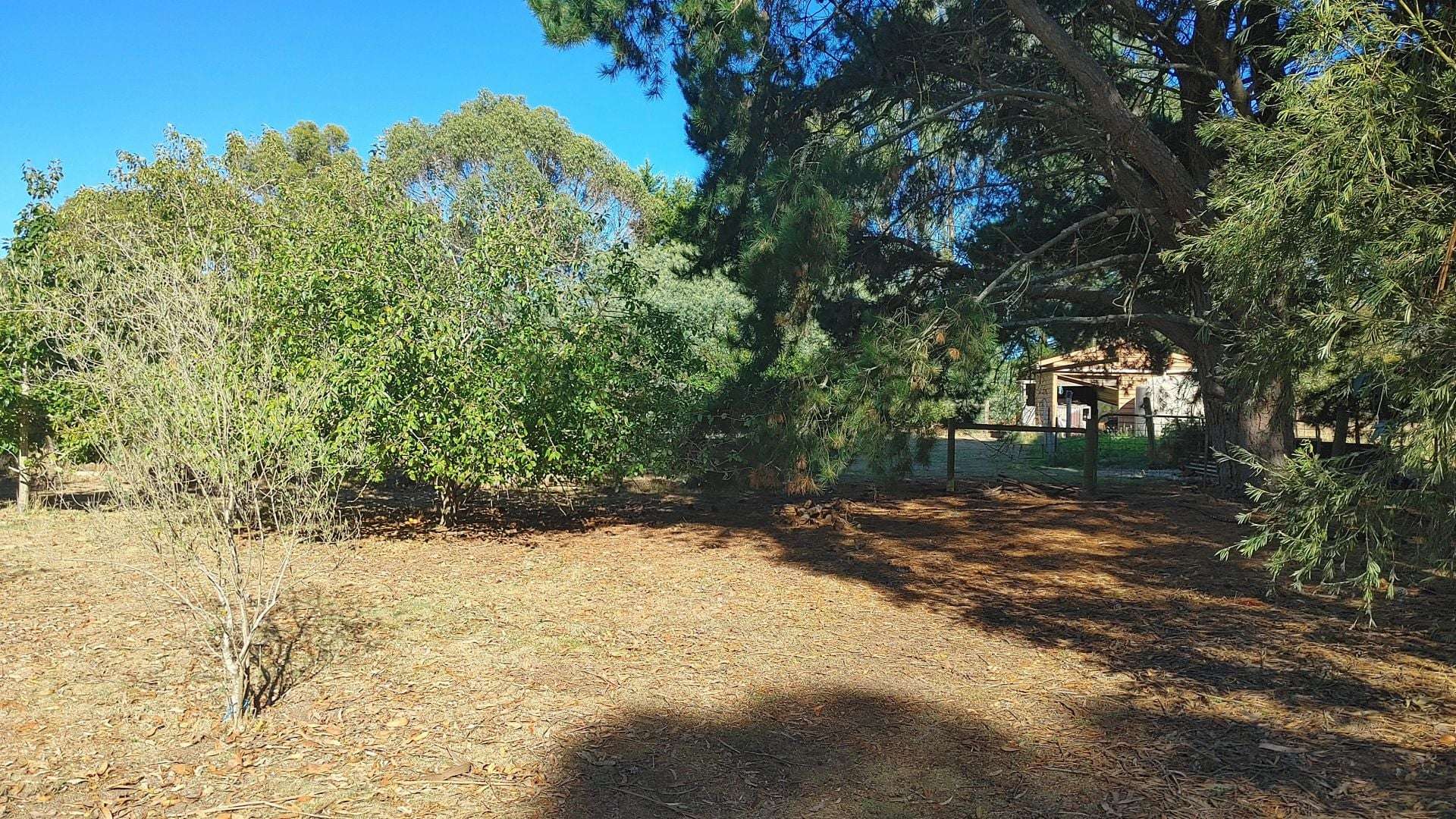 45 Brougham Street, Gordon For Sale by Farmbuy.com - image 18