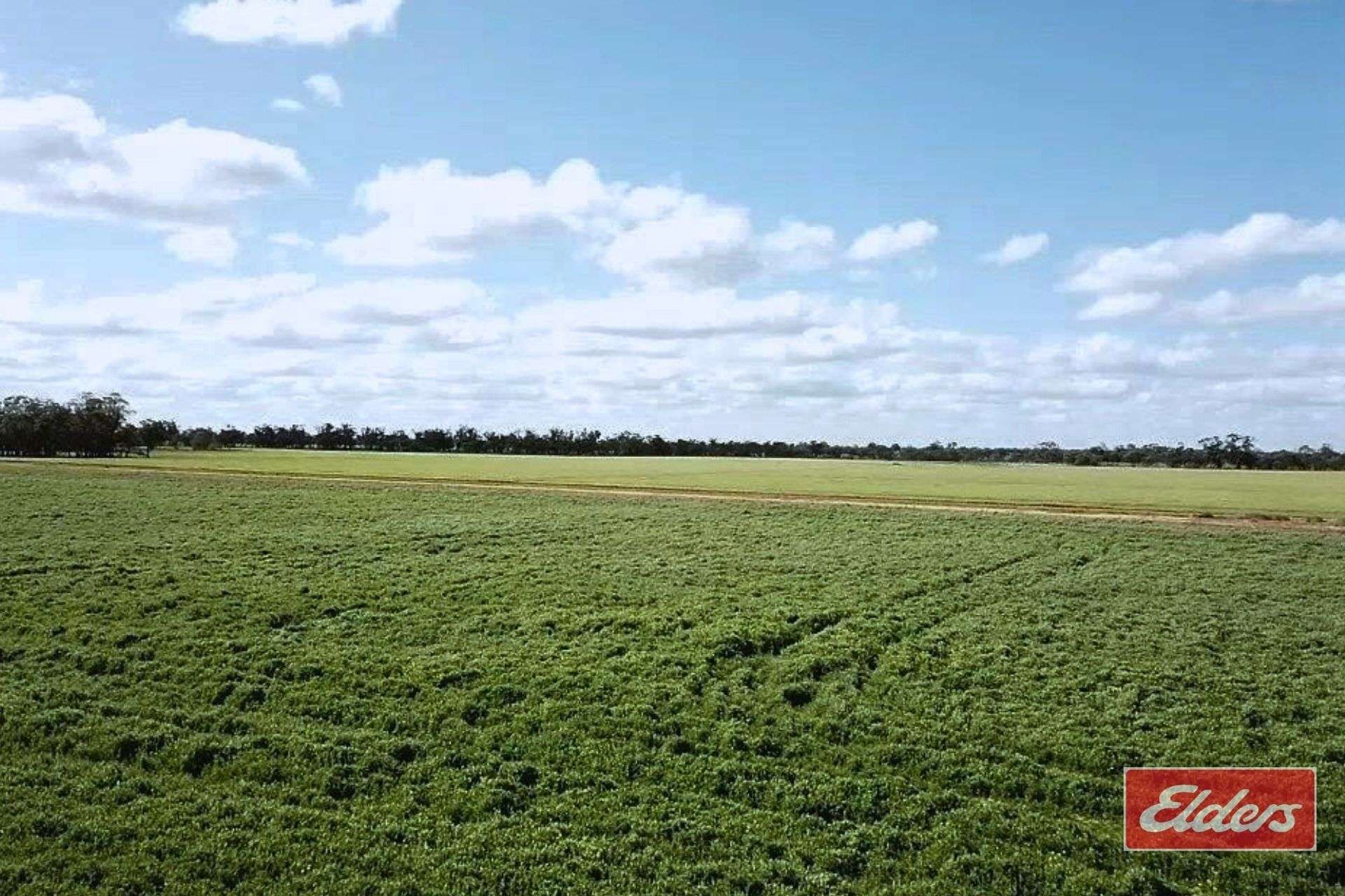 Perricoota, Bunnaloo For Sale by Farmbuy.com - image 11