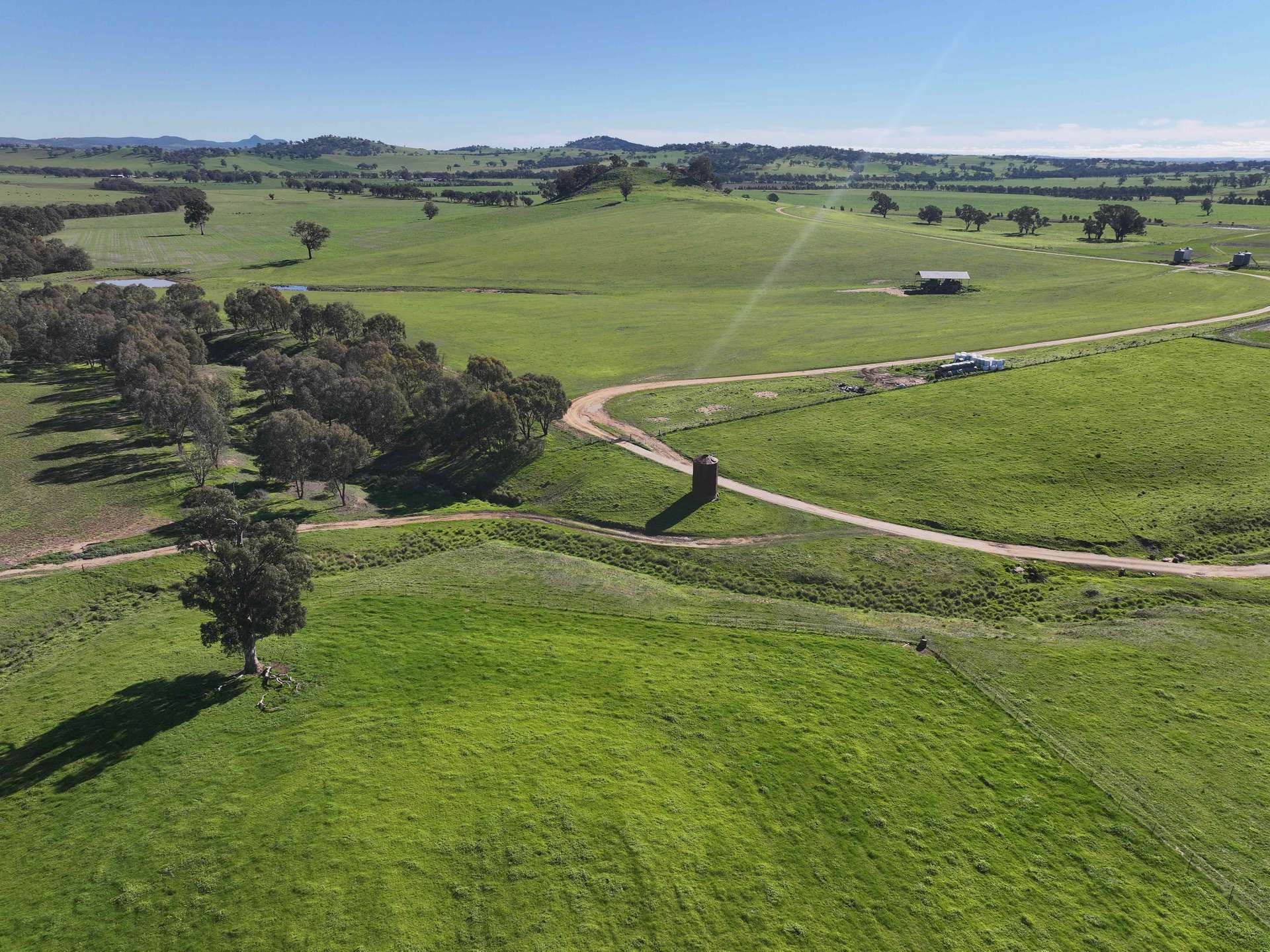 'Yeronga' Piersons Road, Mangoplah For Sale by Farmbuy.com - image 4