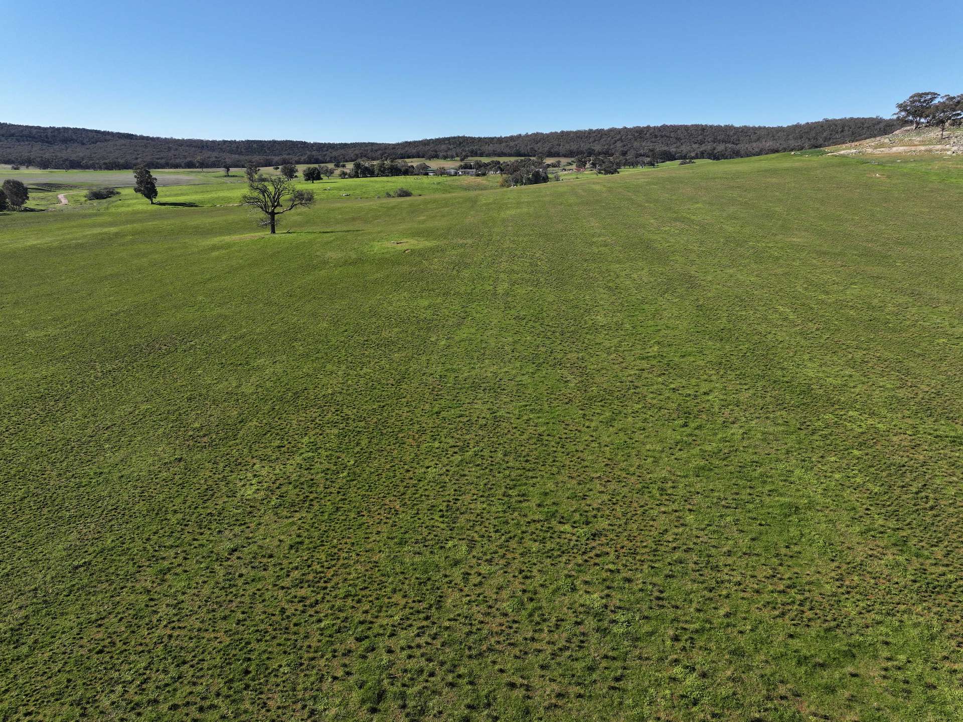 'Yeronga' Piersons Road, Mangoplah For Sale by Farmbuy.com - image 2