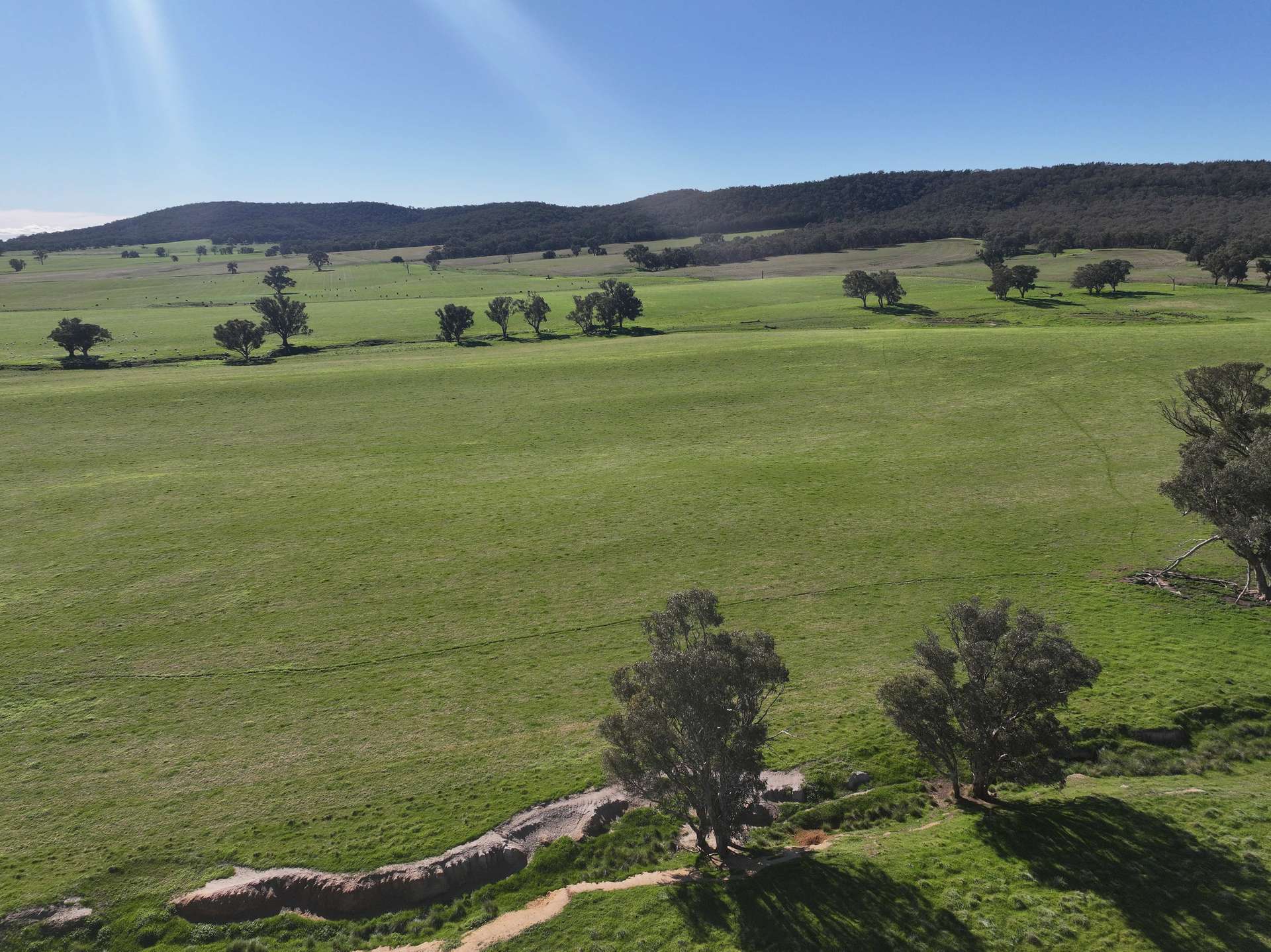 'Yeronga' Piersons Road, Mangoplah For Sale by Farmbuy.com - image 6