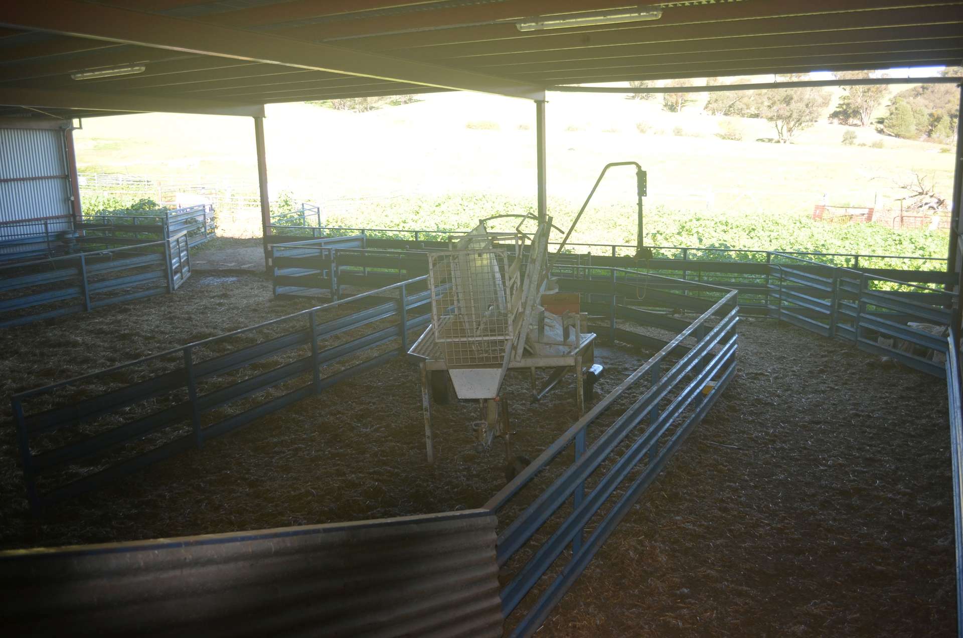 'Yeronga' Piersons Road, Mangoplah For Sale by Farmbuy.com - image 20