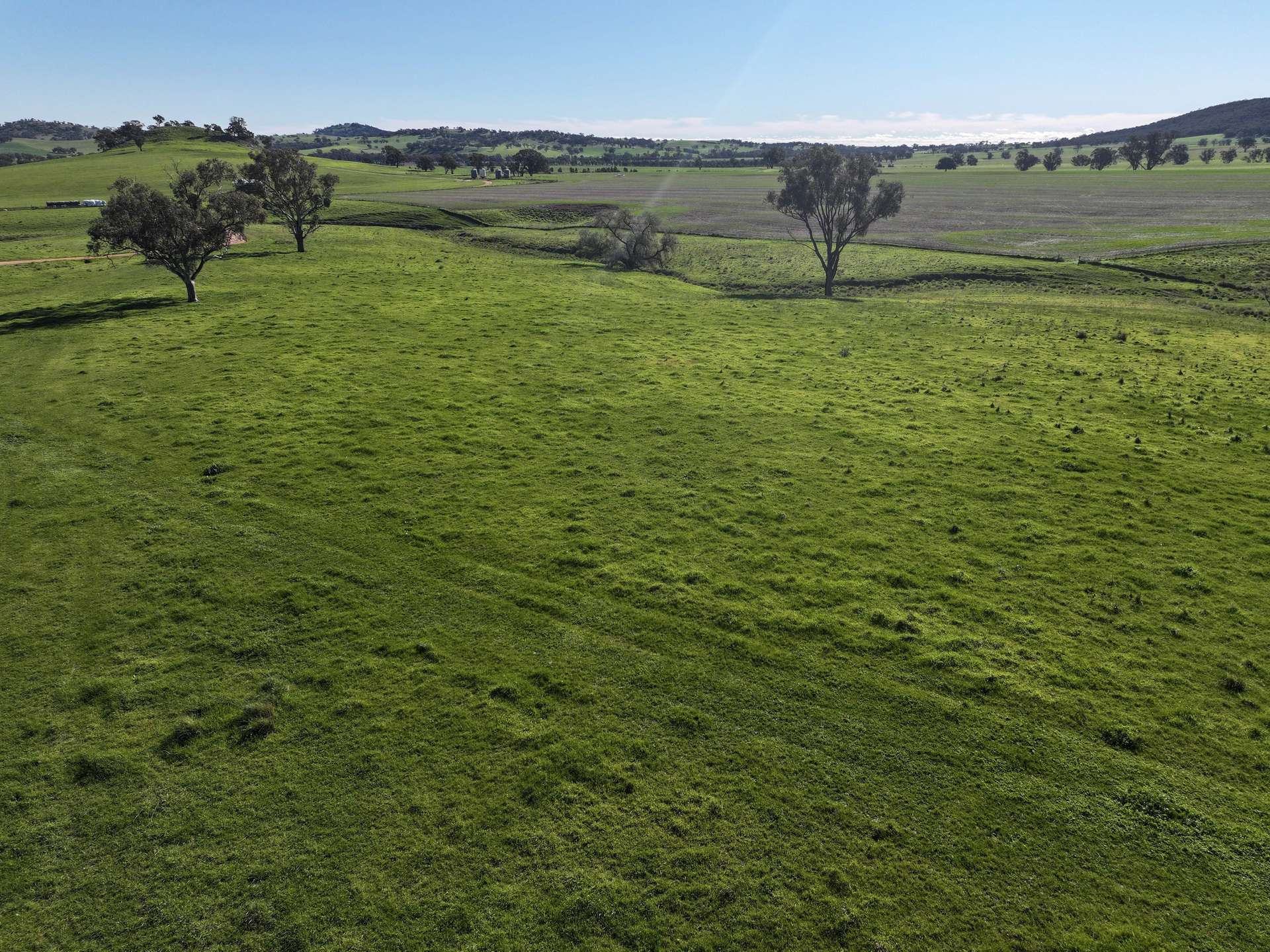 'Yeronga' Piersons Road, Mangoplah For Sale by Farmbuy.com - image 3