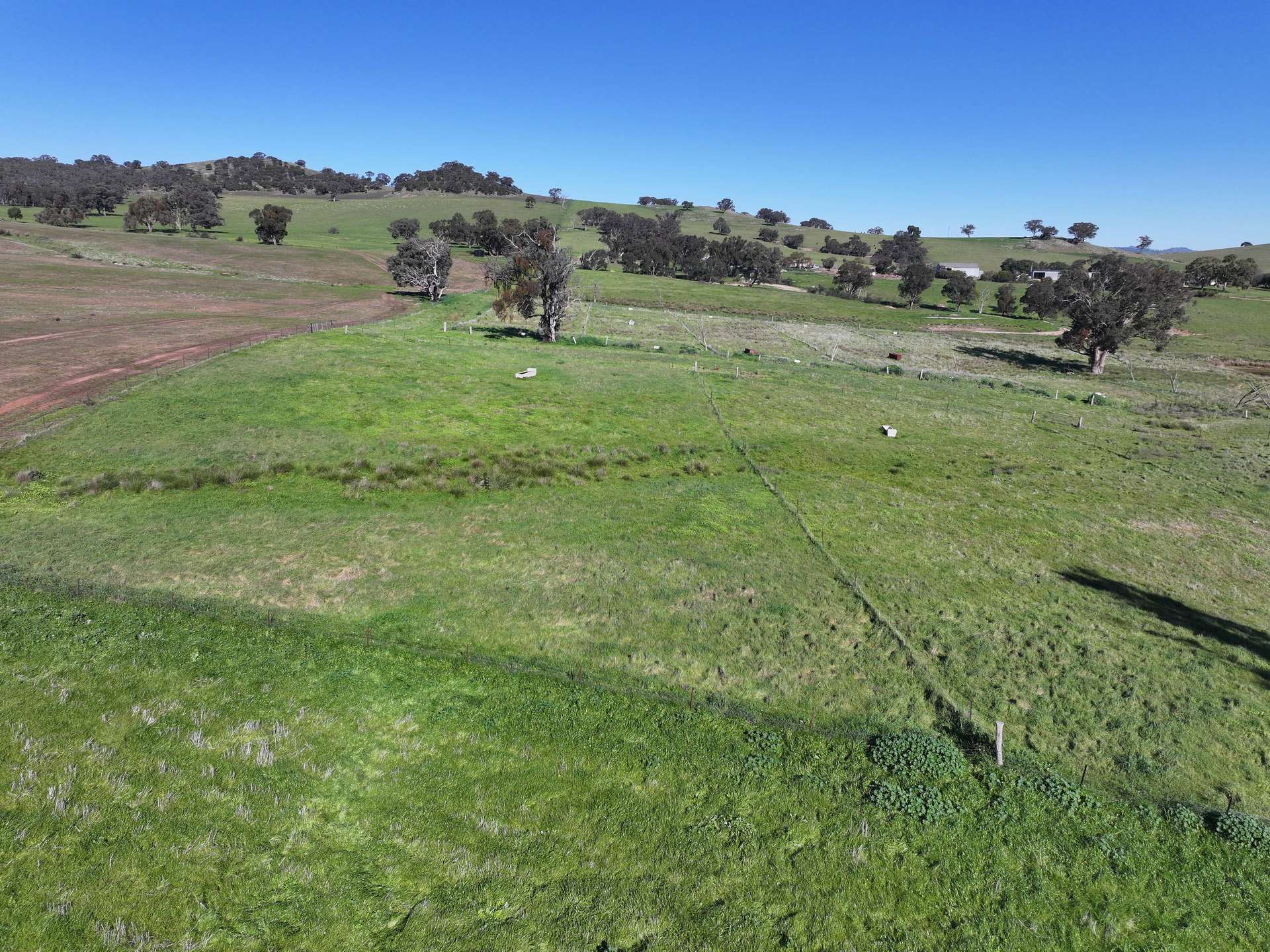 'Yeronga' Piersons Road, Mangoplah For Sale by Farmbuy.com - image 10